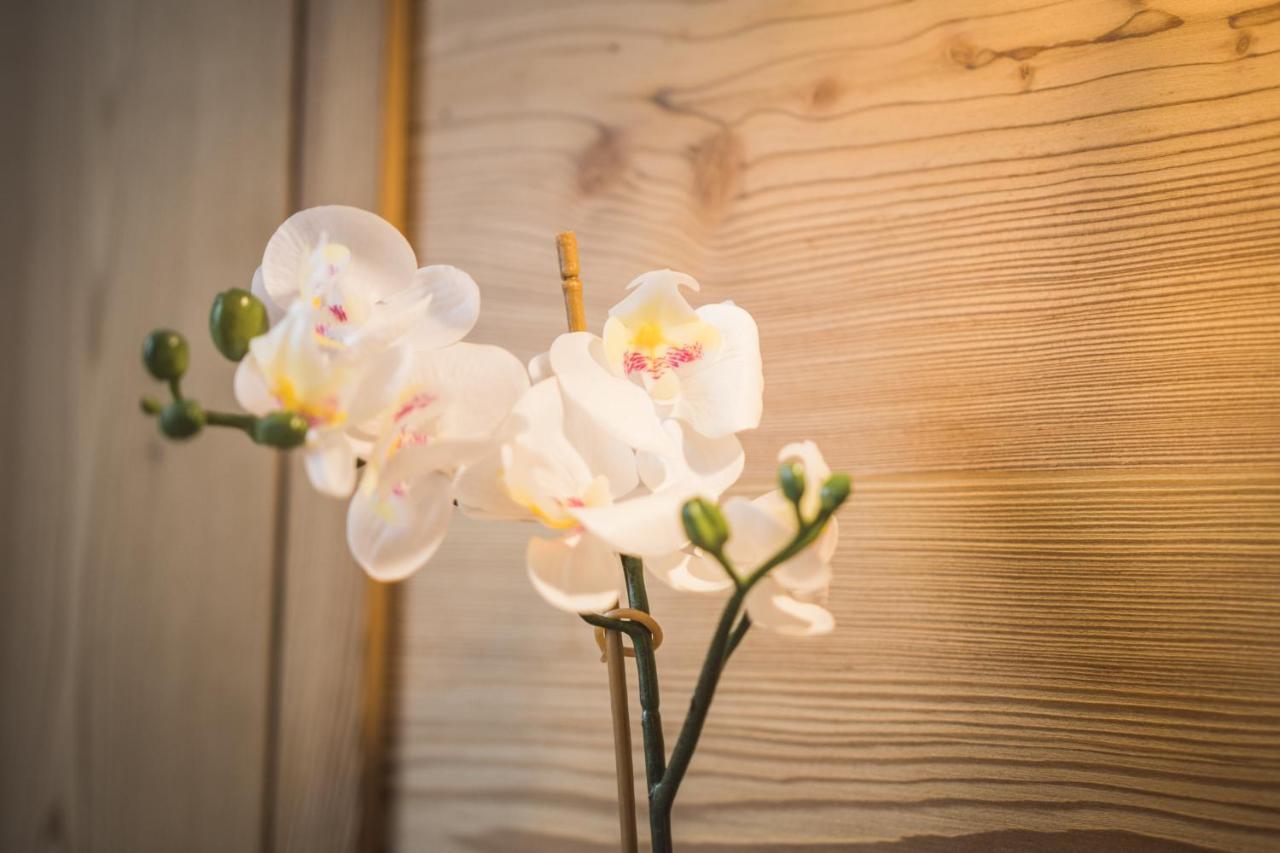 Residence Sisi 오르띠세이 외부 사진